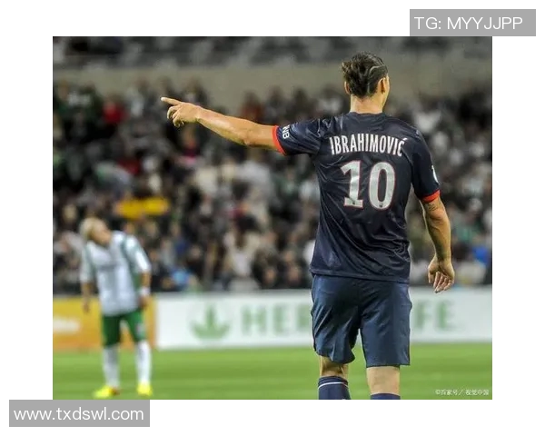 天狼星与哈马比917的精彩对决解析与赛前预测