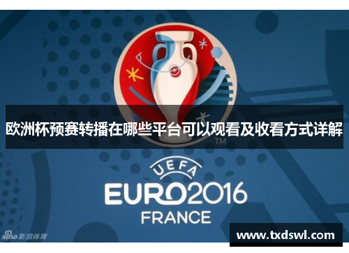 欧洲杯预赛转播在哪些平台可以观看及收看方式详解