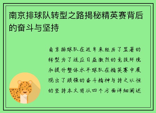 南京排球队转型之路揭秘精英赛背后的奋斗与坚持